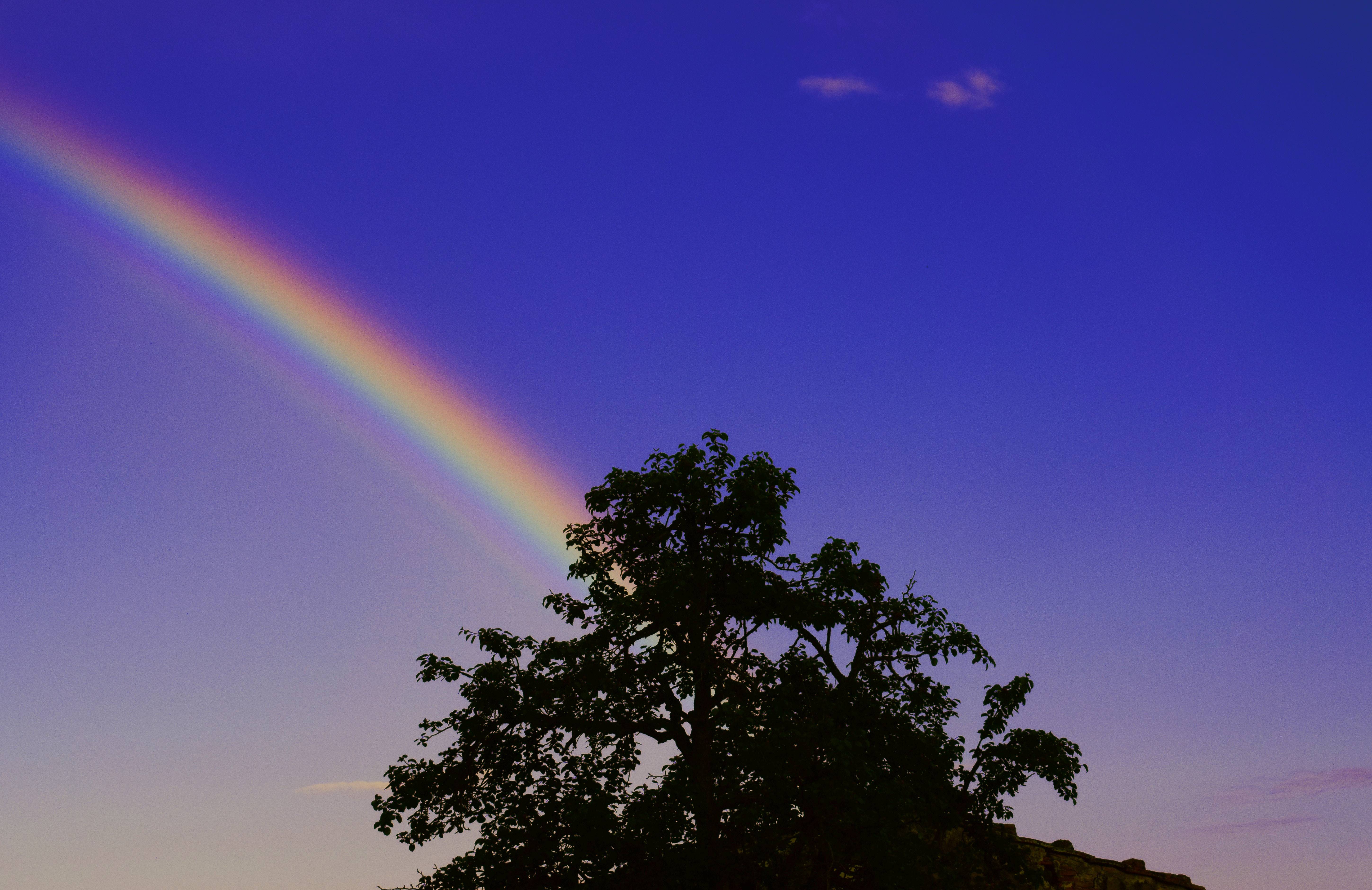 Rainbow blue. Радуга в небе. Красивое небо с радугой. Две радуги на небе. Небосвод и Радуга.