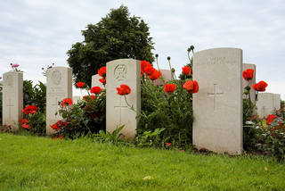 /www.aklander.co.uk/image/catalog/blogimages/remembranceday