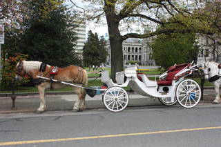 /www.aklander.co.uk/image/catalog/1 horse drawn carriage